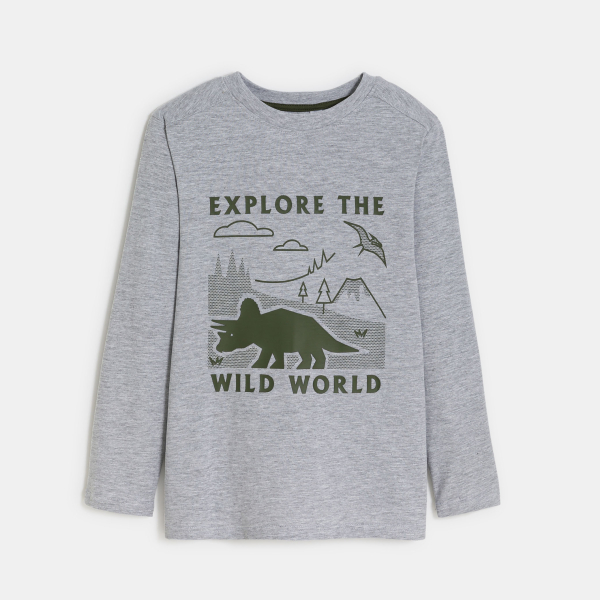 تيشيرت مزين برسمة ديناصور، باللون الرمادي للأولاد.